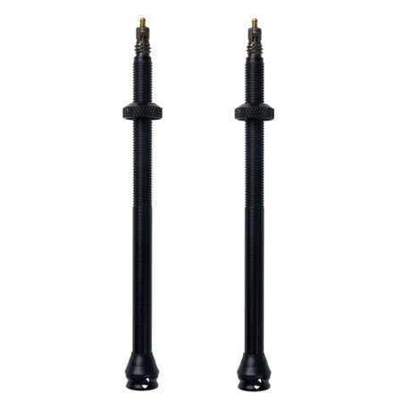 Schwalbe tubeless ventielset sv - 100 mm