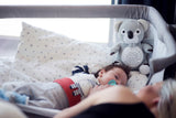Chipolino pluche babyprojector knuffelbeer met muziek licht