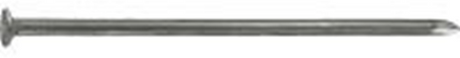 Connex nagel platte kop 2.8x65 2.5kg fe - dh1012865