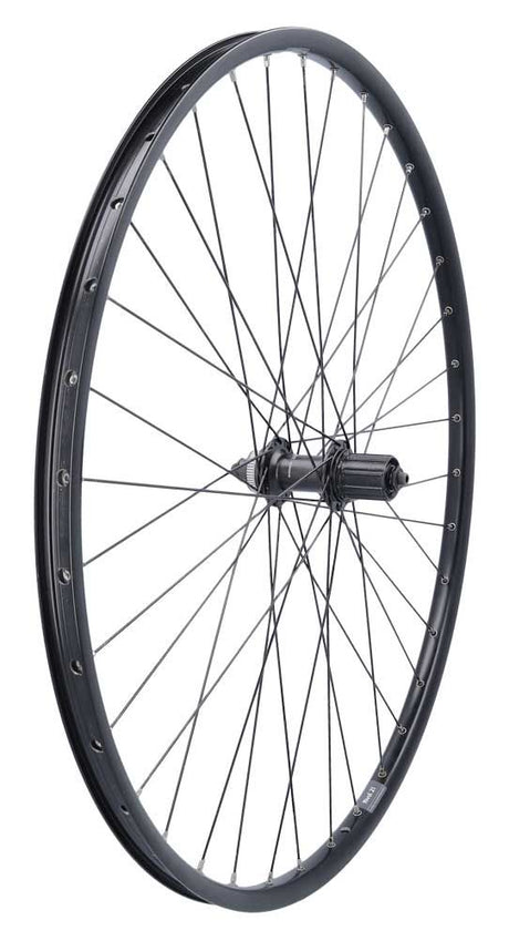 Roland achterwiel 28 rival21