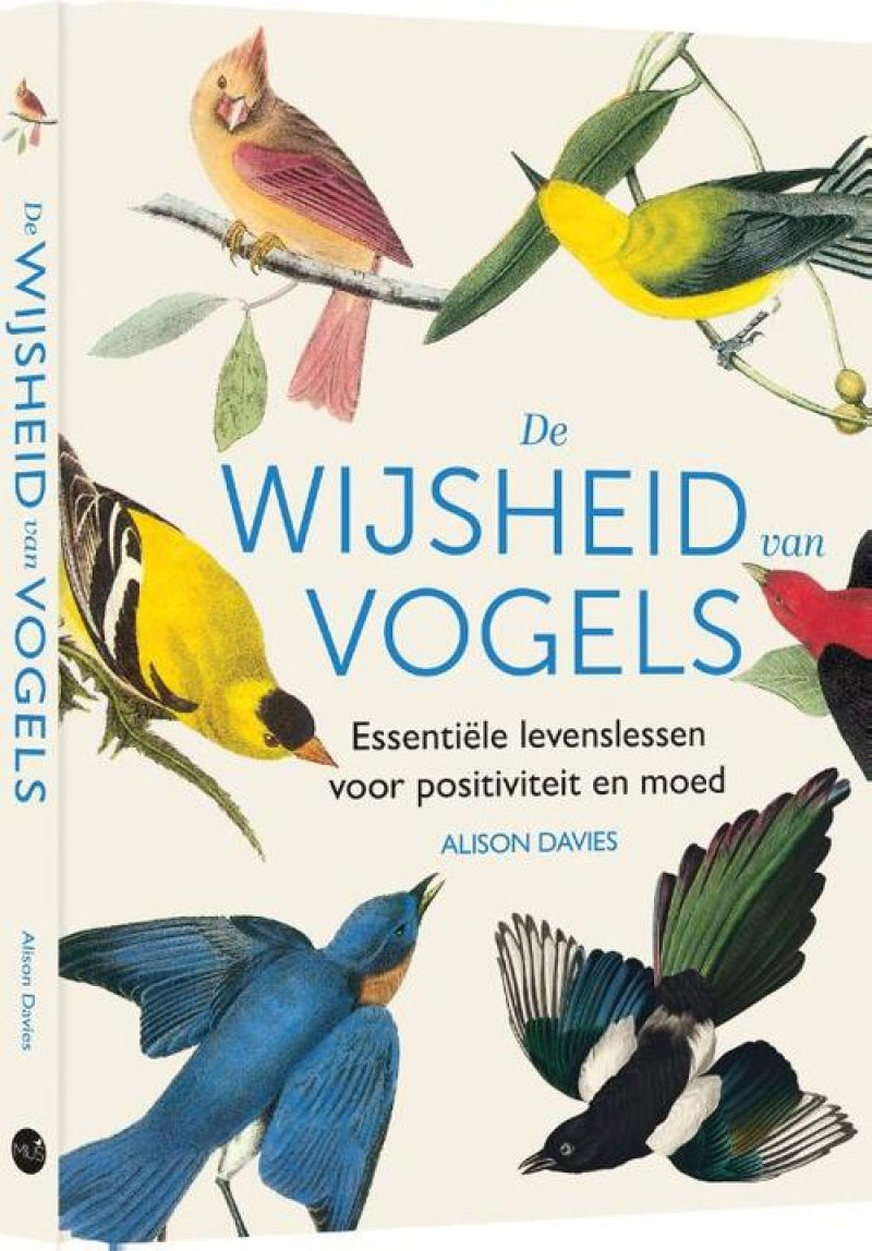 Mus de wijsheid van vogels