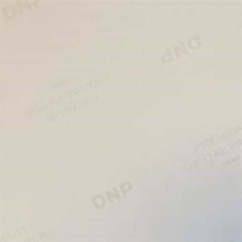 DNP Papier standard DSRX1HS-4X6 2 Roll � 700 St. 10x15 pour DS-RX1HS