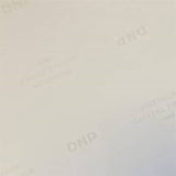 DNP Papier standard DSRX1HS-4X6 2 Roll � 700 St. 10x15 pour DS-RX1HS