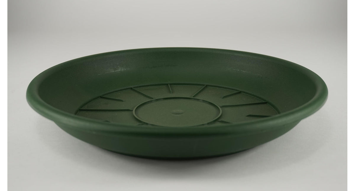 Pak á 10 schotel domus 20 cm groen