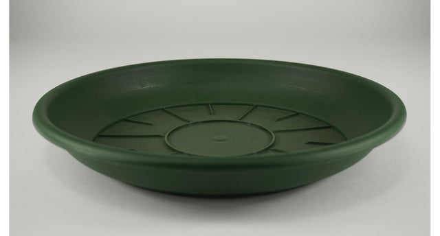 Pak á 10 schotel domus 24 cm groen