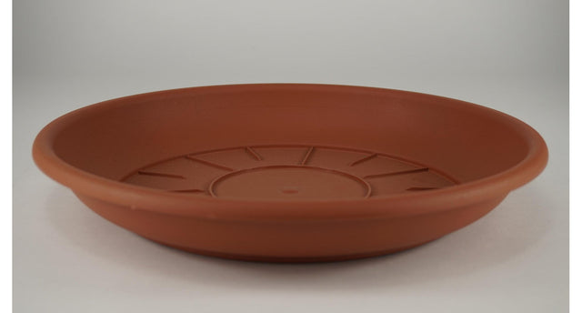Pak á 10 schotel domus 50 cm terra