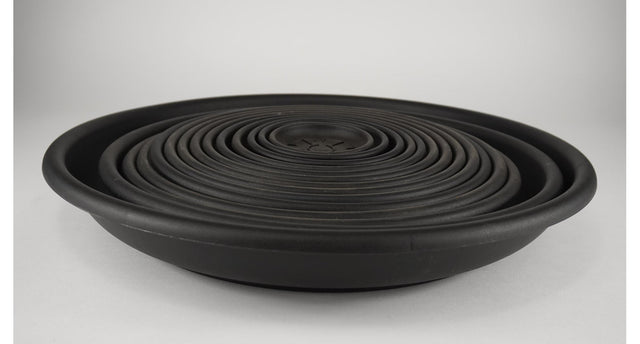 Pak á 10 schotel domus 22 cm zwart