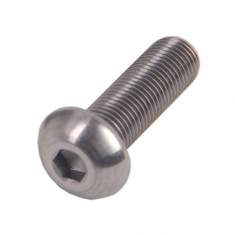 Bofix bolkop inbusbout m6 x 35 rvs