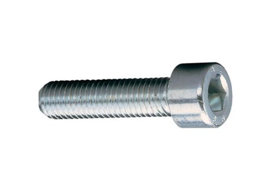 Bofix inbusbout m8 x 25 rvs