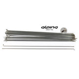 Alpina Spaken 13-296 zonder nippel