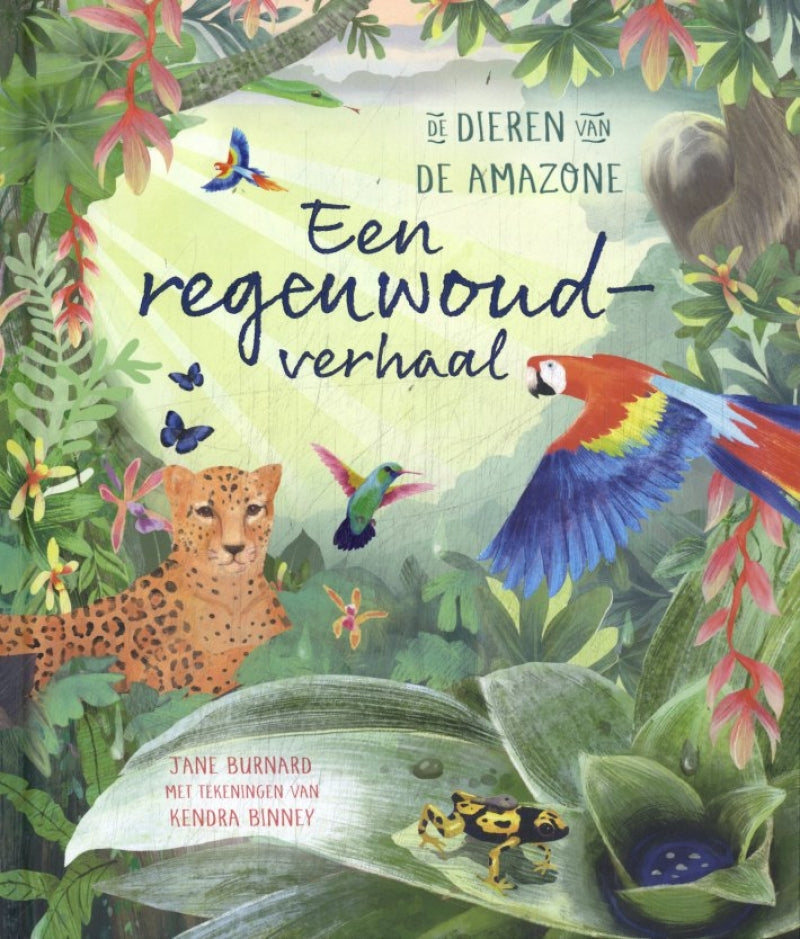 Lemniscaat een regenwoudverhaal