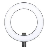 Falcon eyes bi-color led ringlamp dimbaar dvr-384dvc op 230v