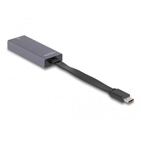 Delock usb-c > 2.5 gigabit lan slim netwerkadapter (grijs)