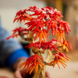 Lego the botanical collection - japanse esdoorn bonsaiboompje constructiespeelgoed (10348)