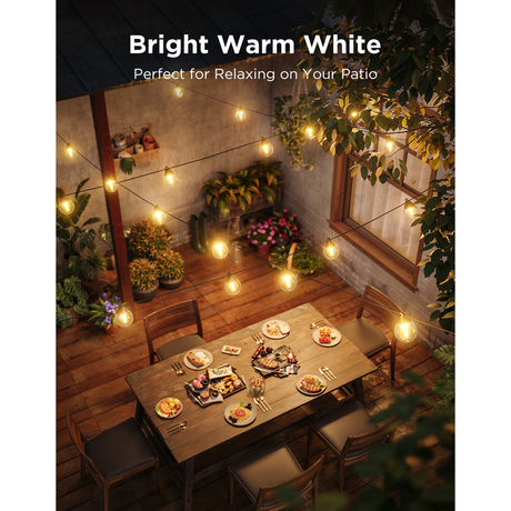 Govee outdoor clear bulb string lights slimme buitenverlichting rgbww matter