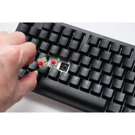 Ducky zero 6108 classic black rgb mechanisch gaming toetsenbord (zwart, us lay-out (qwerty), cherry mx2a blue, 100%, rgb leds, double-shot pbt, hot swap, 2.4ghz | bluetooth | usb-c)