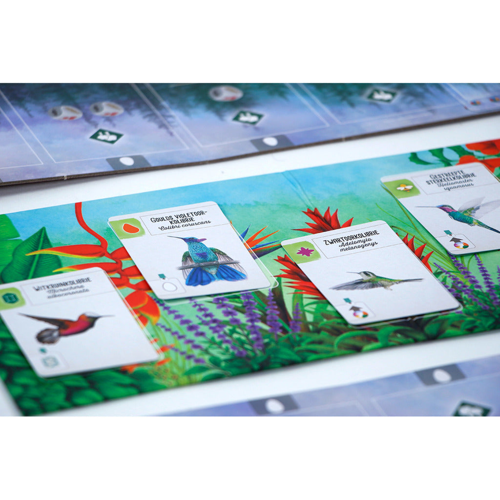 999games 999 games wingspan: midden- en zuid-amerika bordspel (uitbreiding, nederlands, 1 - 5 spelers, 40 - 70 minuten, vanaf 10 jaar)