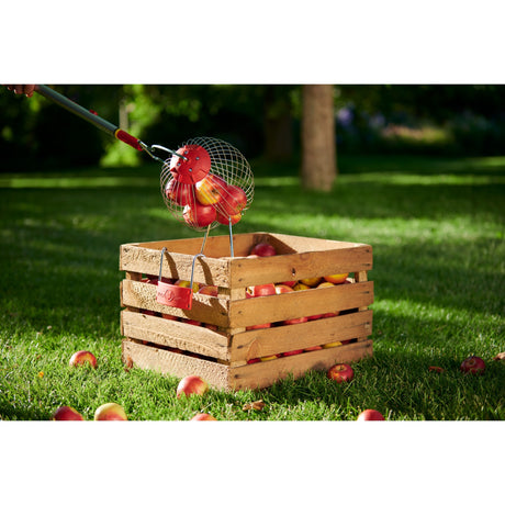 Wolf-garten multi-star fc-m fruitverzamelaar fruitplukker (rood, beugel inbegrepen)
