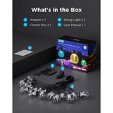 Govee outdoor clear bulb string lights slimme buitenverlichting rgbww matter