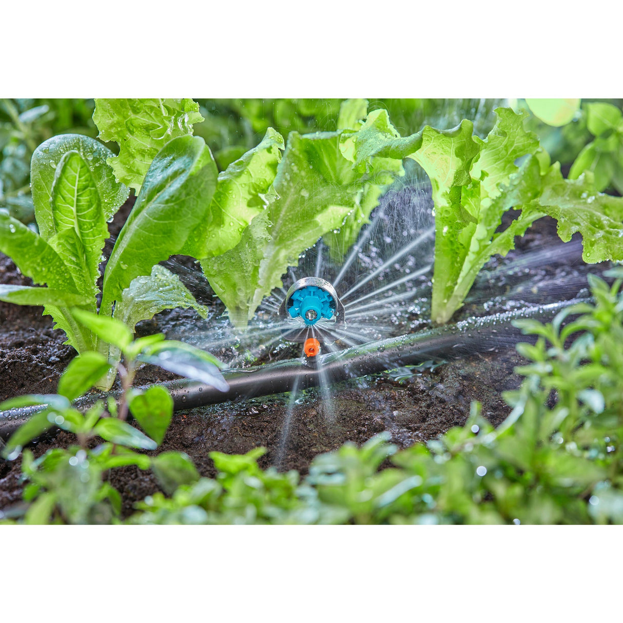 Gardena micro-drip system sproeikop 13 mm (1 2) ø - 13324-20