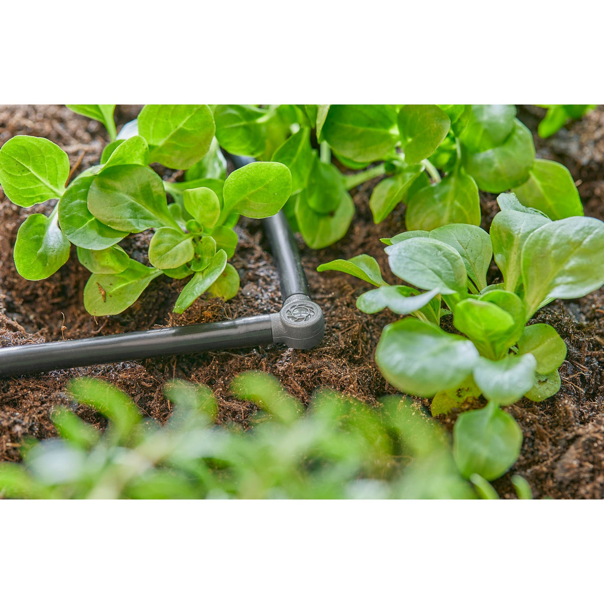 Gardena l-stuk 4,6 mm (3 16 ) verbinding (donkergrijs, 10 stuks)