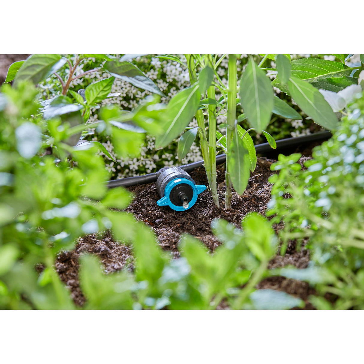 Gardena verstelbare seriedruppelaar 1-8 l u, drukcompenserend druppelaar (zwart turquoise)