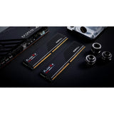 G.skill flare x5 32 gb ddr5-6000 (2x 16 gb) werkgeheugen (zwart, f5-6000j3038f16gx2-fx5, expo)