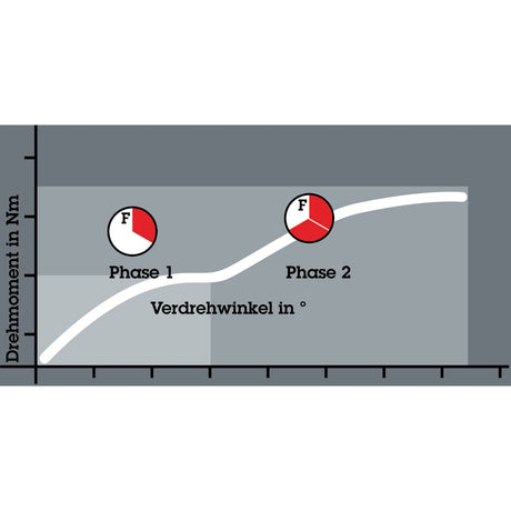 Wera bit-check 12 bitorsion 1 bitset (12-delig)