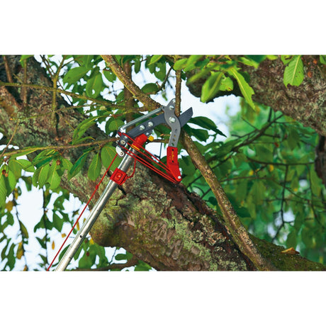 Wolf-garten wolf garten multi-star boomulti-starchaar vario (rc-vm) - 71aca005650
