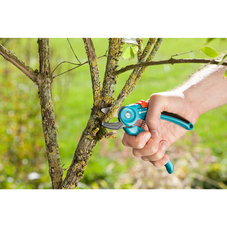 Gardena classic snoeischaar a s (turquoise, 8855-20)