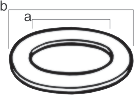 Cornat dichting o-ring 3 4 (5st) - flor92741