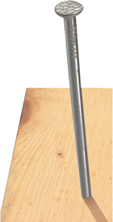 Connex nagel platte kop 3.1x80 1kg fe - kk1013180