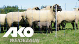 Ako producten vervangende paal voor schapennet titan dubbele pen 90cm