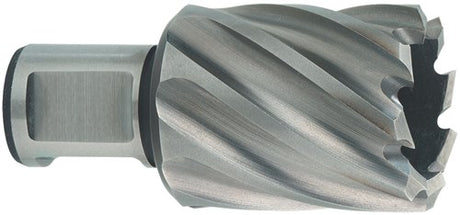 Metabo accessoires hss kernboor ø 19x30 mm - 626507000