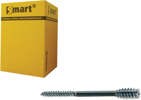 Pgb-europe smart | afstandschroef t-drive t25 ø 6x100 zn | 50 st - sm0ssc0010601003