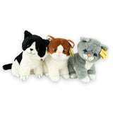 Sunkid poes zwart wit 40 cm | 6 stuks