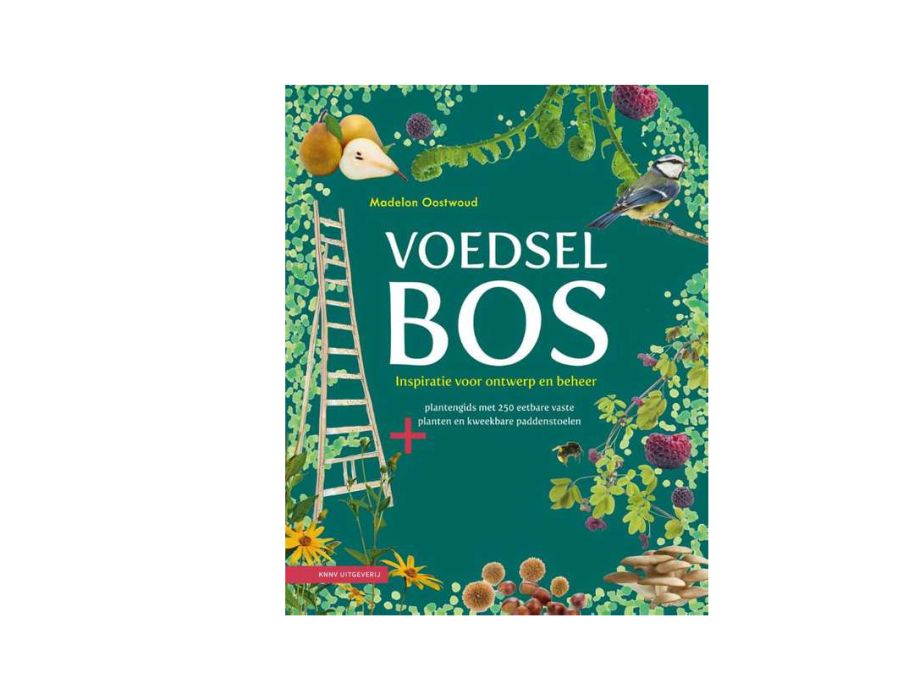 Boekhuis libro de comida bosque