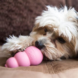 Kong Puppy Pink eller Blue Assorti