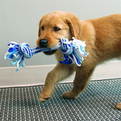 Kong Rope Stick Flostouw Puppy surti