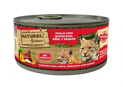 Grandezza naturale pollo ananas papaia