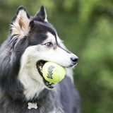 Kong Squeakair Tennis Ball Jaune avec bip