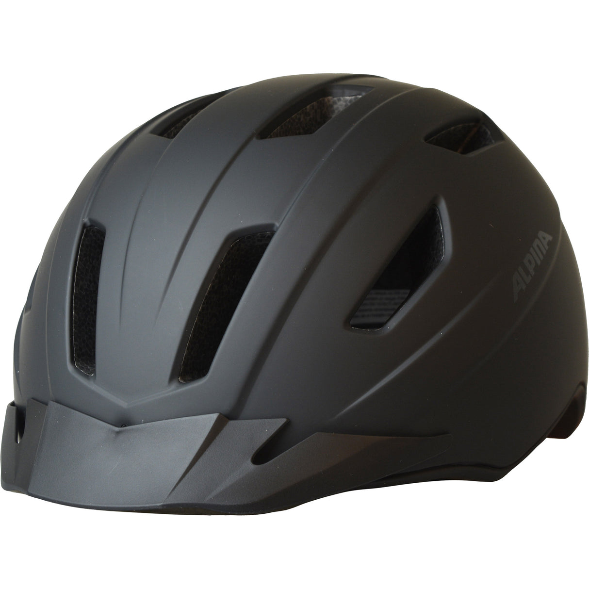 Alpina Casque Tajo Speedpedelec Black Mat 52-57