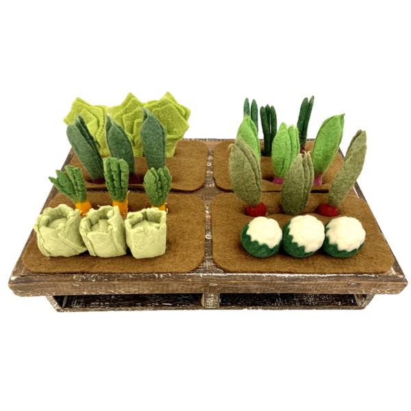 Papoose Toys papoose igrače Grow-A-Garden 24pc