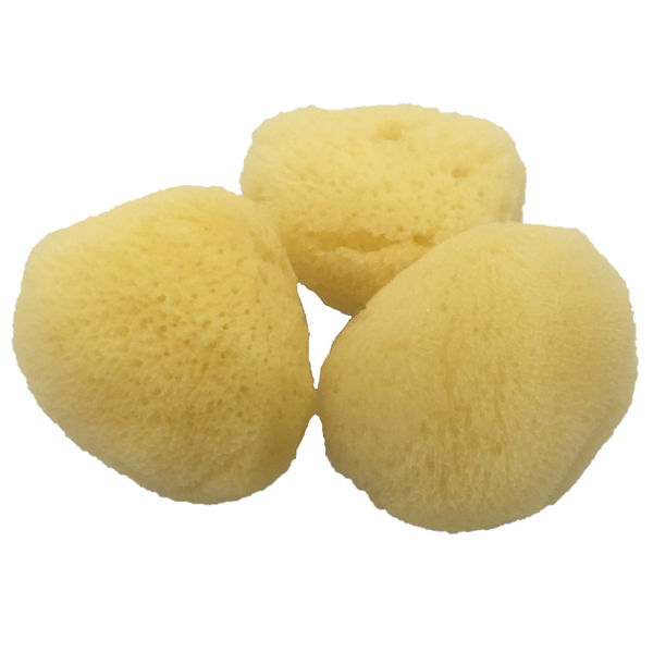 Papoose Toys Papoose Toys Natural Sponge 'Silk' 6cm 3PC