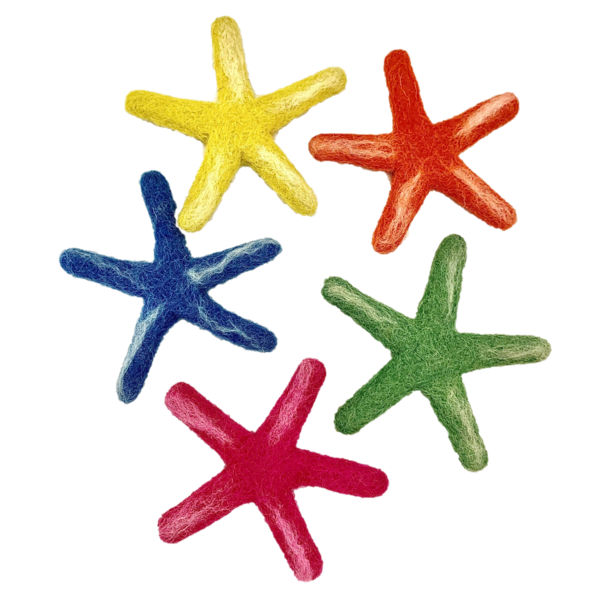 Papoose Spillsaachen Papoose Spillsaachen Mier Star Laevigata 5pc