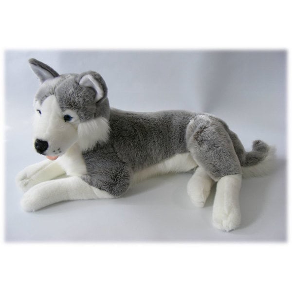 Plysch husky 60 cm