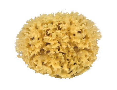 Croll Denecke Nature Sponge dla ciała