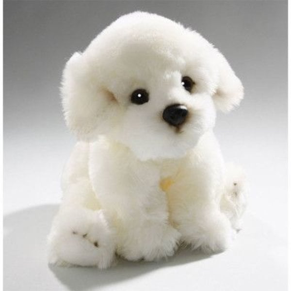 Sitzen Bichon Frize Welpe 24 cm